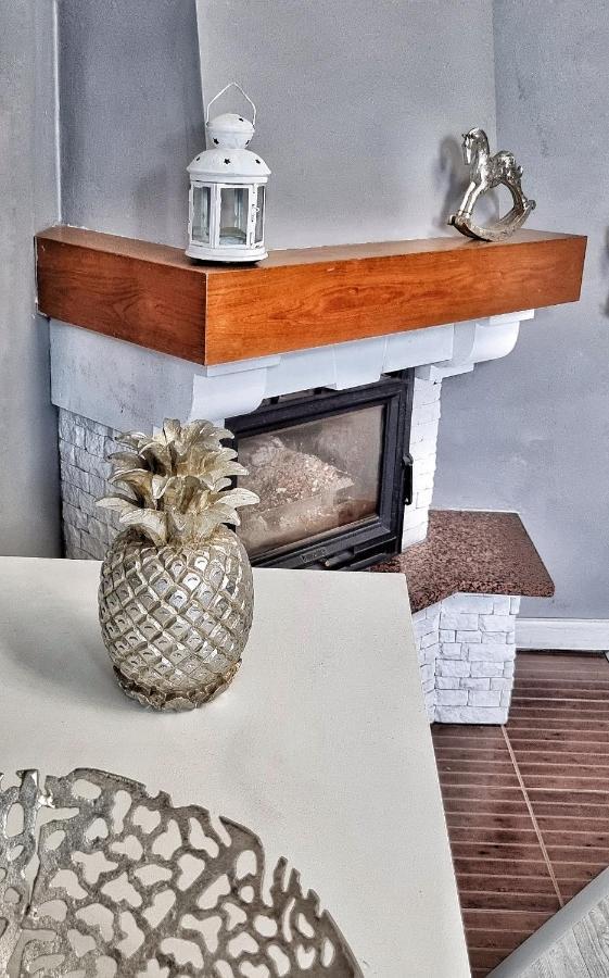 Apartament Kaczyniec 10 Gliwice Bagian luar foto