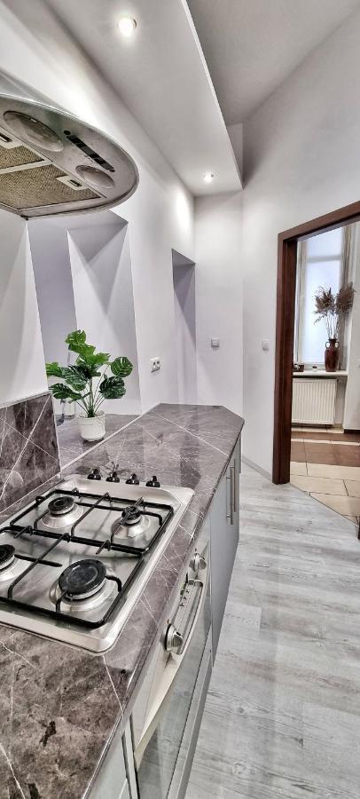 Apartament Kaczyniec 10 Gliwice Bagian luar foto